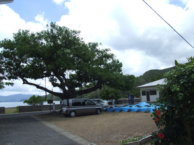 e0028387_23392232.jpg