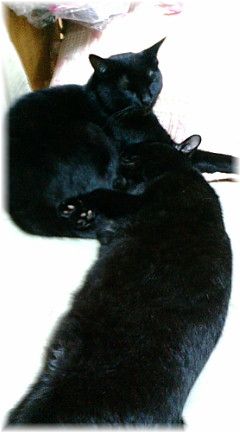 c0136090_2050041.jpg