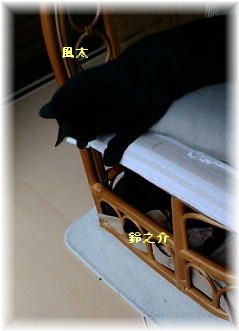 c0136090_2110253.jpg
