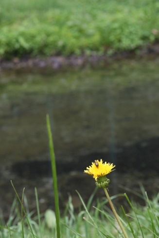 f0128092_1612399.jpg
