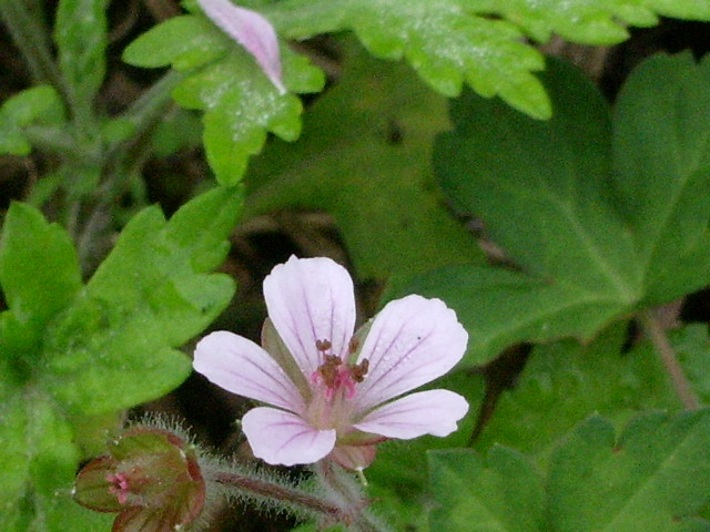 e0025300_15233137.jpg