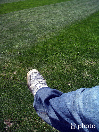 b0061004_2253862.jpg
