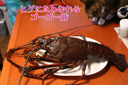 e0072606_17505261.jpg