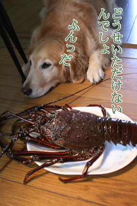 e0072606_17511412.jpg
