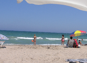 e0115312_2322973.jpg