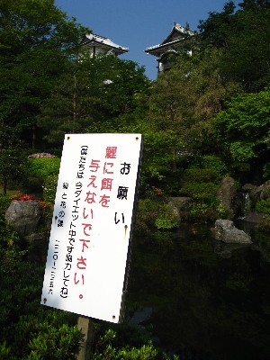 e0085113_13492553.jpg