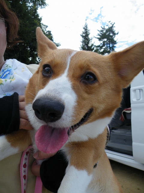 c0127617_13301138.jpg