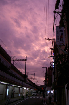 e0083517_1405871.jpg