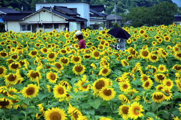 e0083517_2334491.jpg