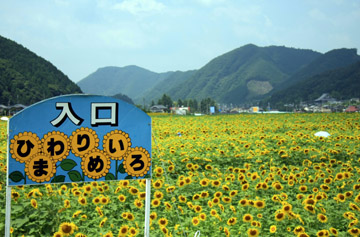 e0083517_23374856.jpg