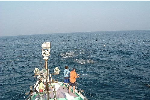 e0125217_89367.jpg