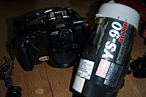 b0044726_23361766.jpg