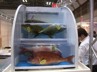 c0095731_10123125.jpg