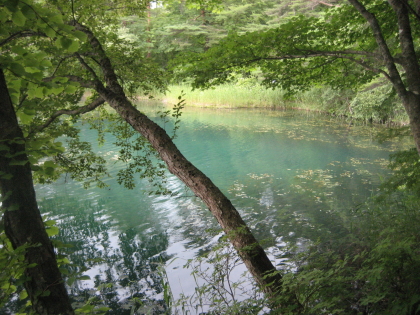f0080631_1923229.jpg