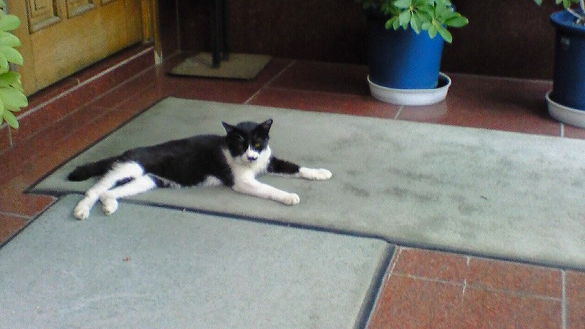 c0133533_042968.jpg
