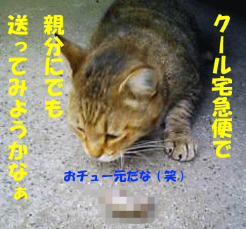 f0008935_12382229.gif