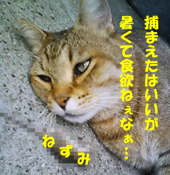 f0008935_1238915.gif