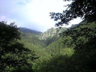 d0107938_1295554.jpg