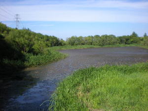 b0001440_14222614.jpg