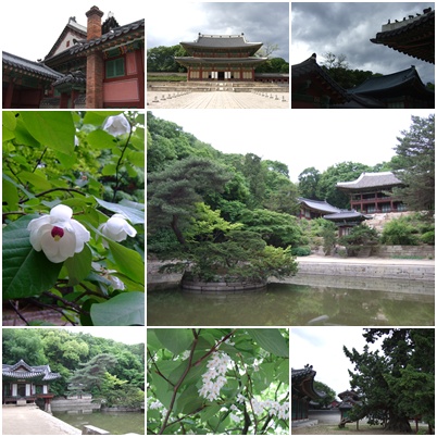 昌徳宮