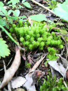 b0129041_22165255.jpg