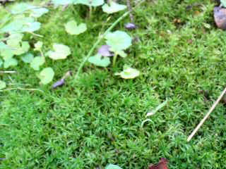 b0129041_22213182.jpg