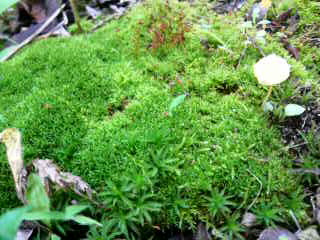 b0129041_22283087.jpg