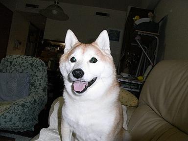 f0075043_2127678.jpg