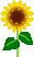 f0067245_207456.gif