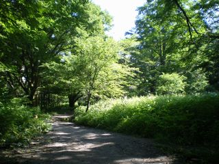 c0134850_22225318.jpg