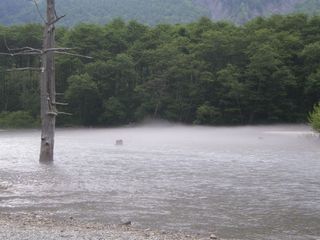 c0134850_22241572.jpg