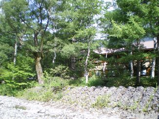 c0134850_22255867.jpg