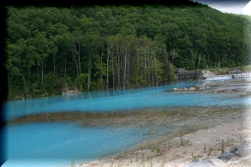 f0153450_17249100.jpg