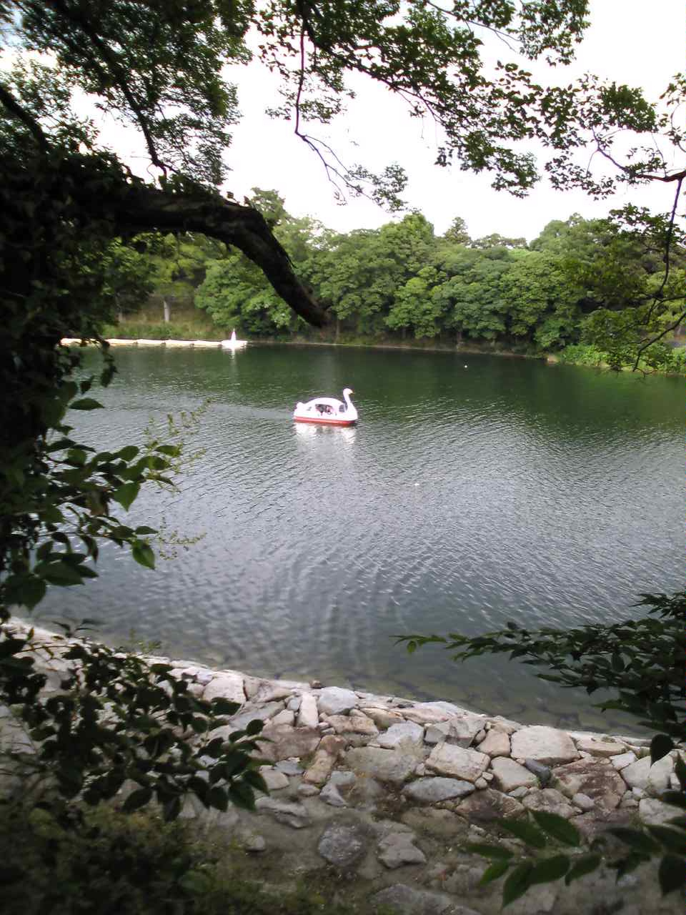 d0088952_2350488.jpg