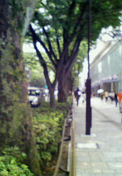 e0026053_13575134.jpg