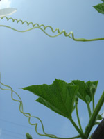 c0030455_17454586.jpg