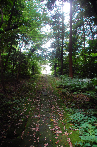 f0176458_12443022.jpg