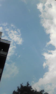 d0062061_1141196.jpg