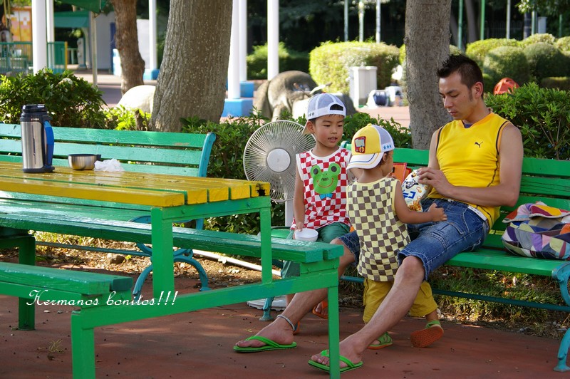 d0141161_11831.jpg