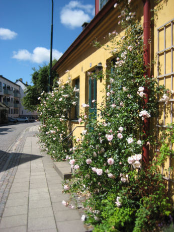 e0079166_20295444.jpg