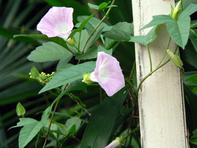 f0086169_21223928.jpg