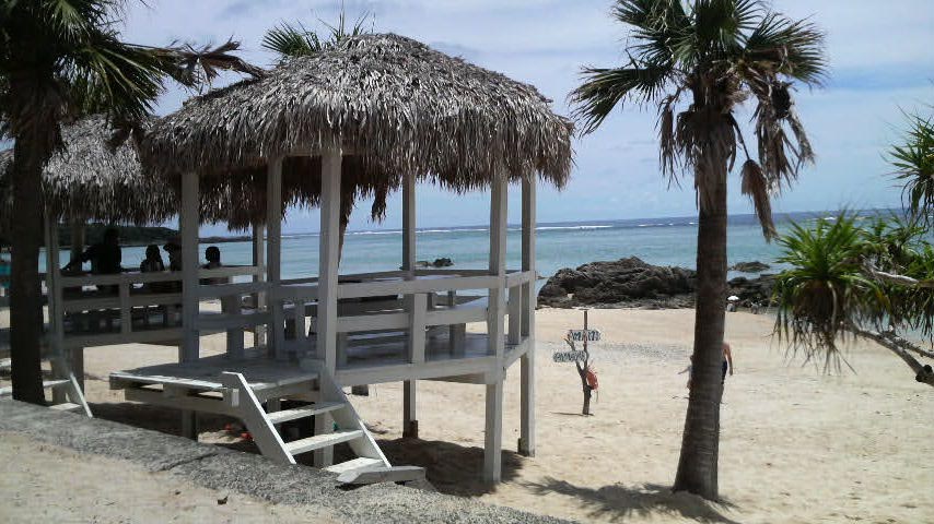 b0078370_23102189.jpg