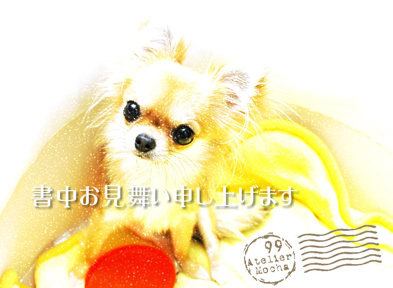 c0026870_15452335.jpg