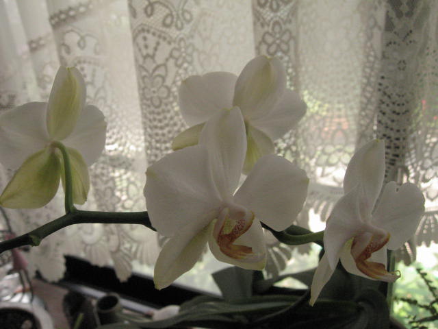 d0070473_9383349.jpg