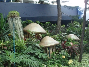 b0092475_2244248.jpg
