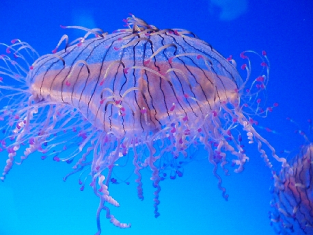 b0092475_227334.jpg