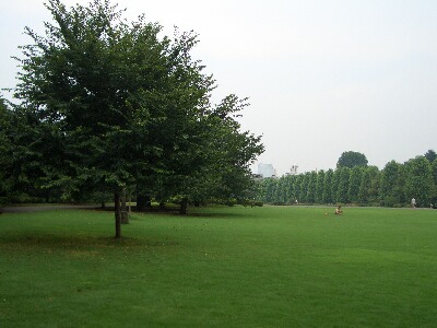 f0055380_1923884.jpg
