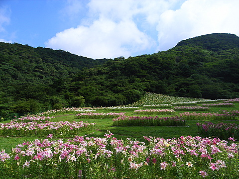 a0043982_17195537.jpg