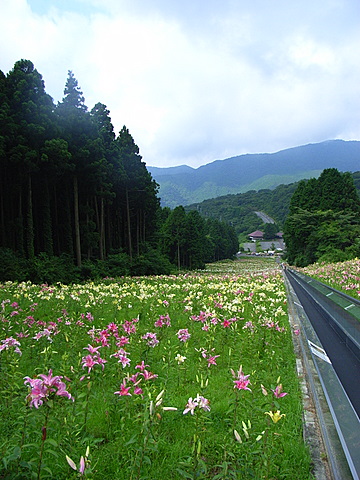 a0043982_17202098.jpg