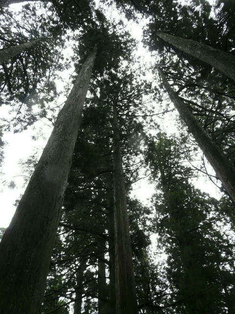 e0145782_17262315.jpg